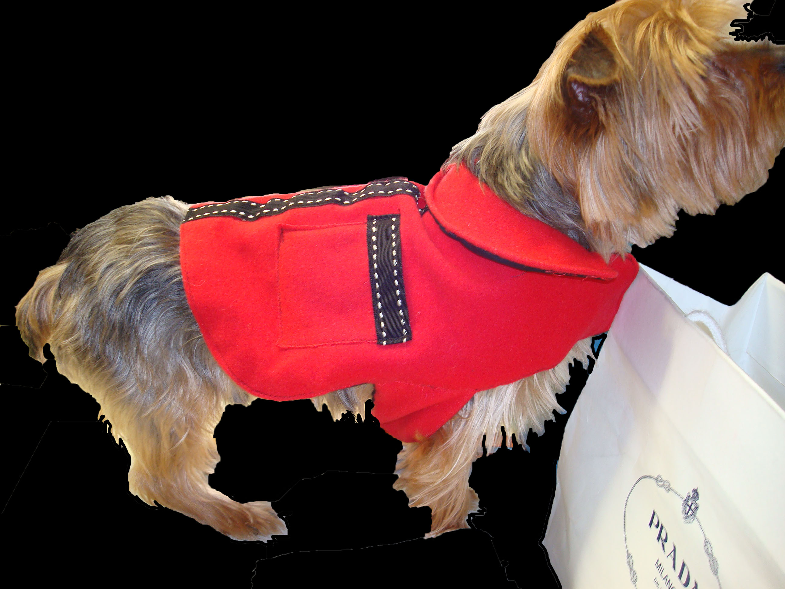  - gail-toma-pooch-coats-prince-of-scots-buster-dressed-for-madison-avenue-holiday-shopping