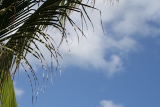 Anguilla Sky